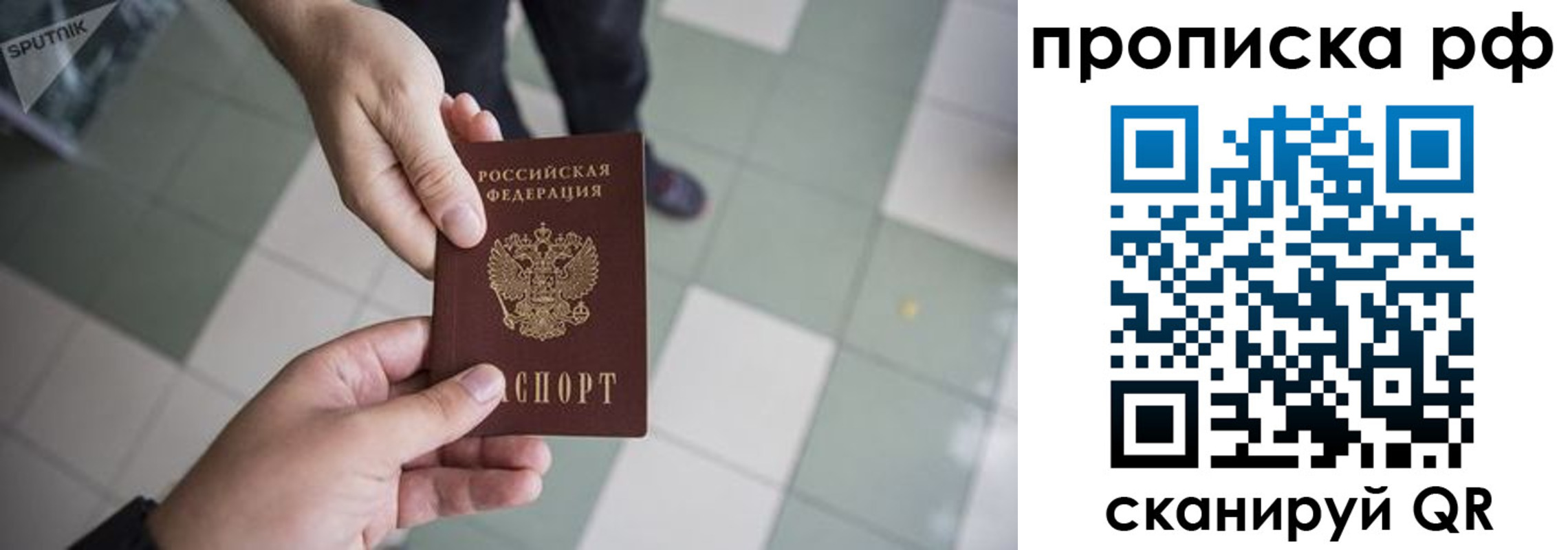 прописка гарантия в Москве